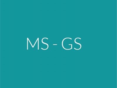 MS-GS